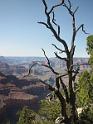 Grand Canyon (58)